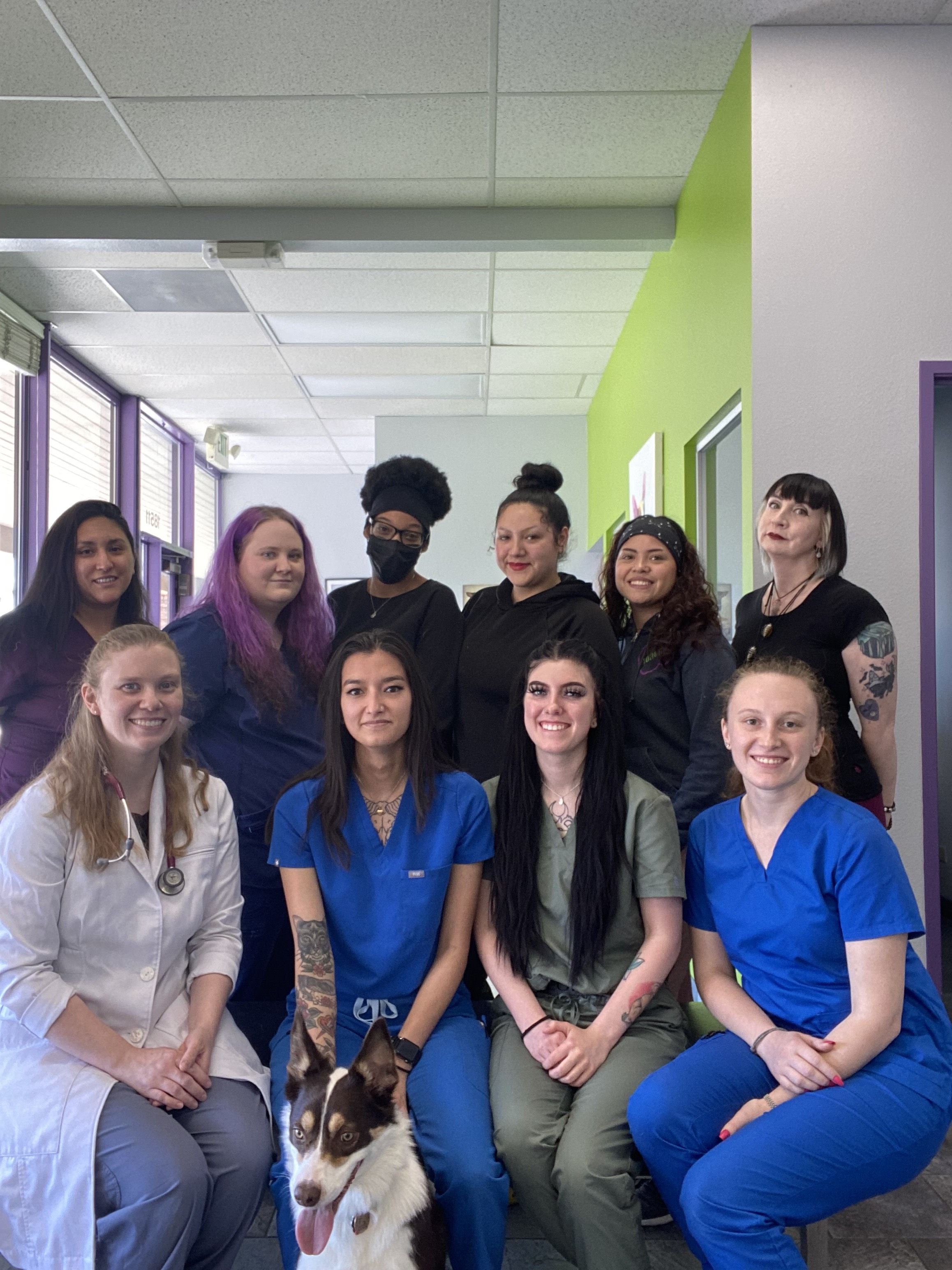 Veterinary Clinic in Aurora, CO | Animal Care Center of Aurora Veterinary Clinic in Aurora, CO | Animal Care Center of Aurora