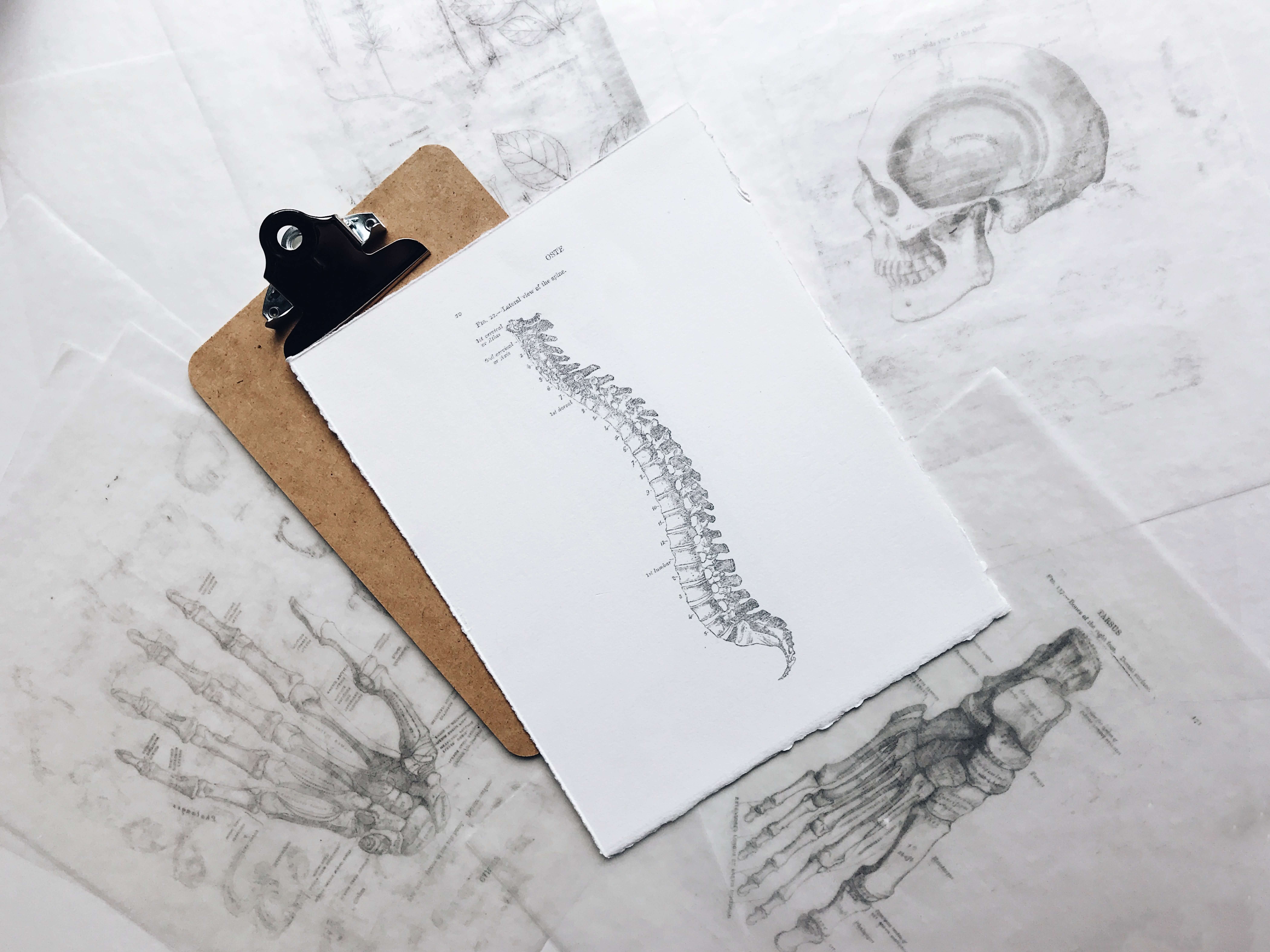 Diversified Chiropractic Versus the Activator Method