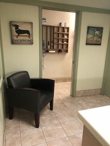 Petaluma Veterinary Hospital exam room 1 - image