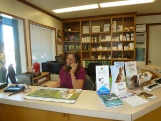Head reception at Petaluma Veterinary Hospital