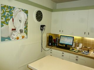Petaluma Veterinary Hospital exam room 1 - image