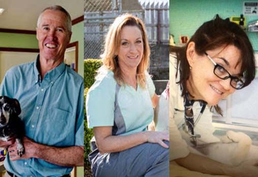 Pictures of our Veterinarians Dr. T, Dr. Smith and Dr. K - Petaluma Veterinary Hospital