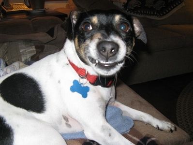 Bailey image