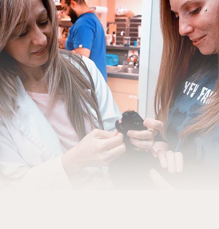 dog being checked by a vet
