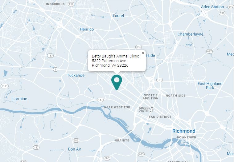 Betty Baugh S Animal Clinic Richmond Va Veterinarian