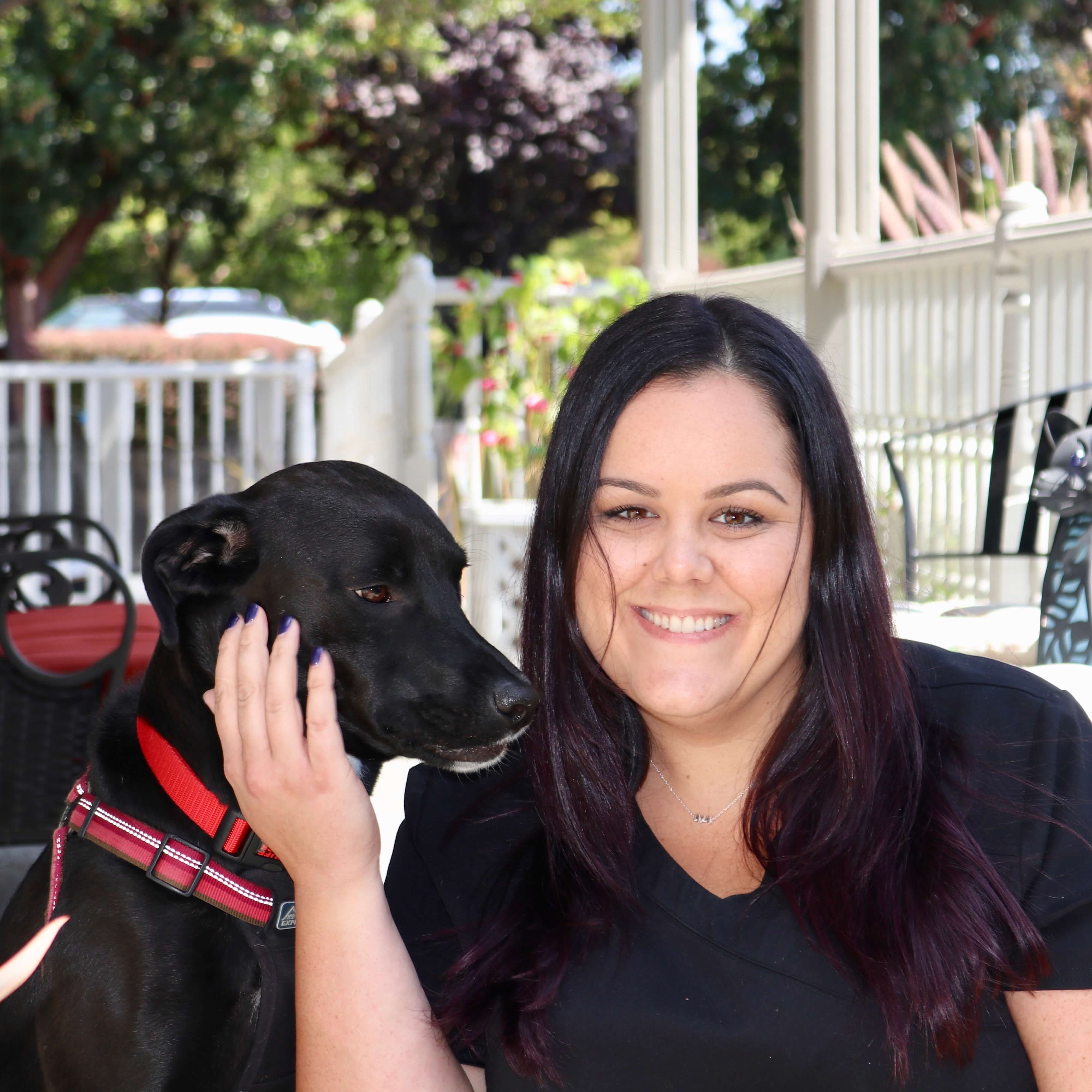 Home - REVMA: Redwood Empire Veterinary Medical Association