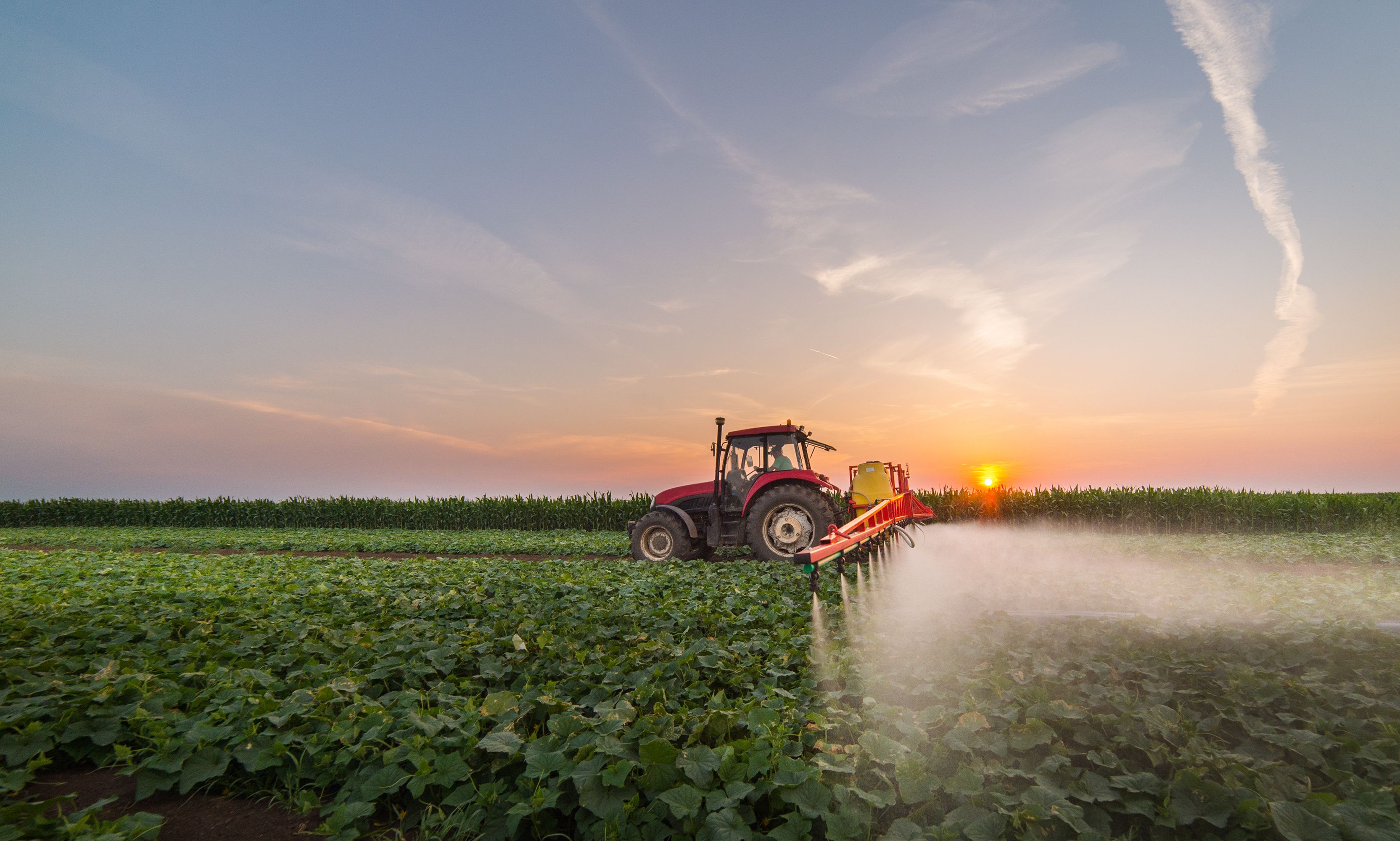 Chlorpyrifos: Settlement, Recall, and Lawsuits