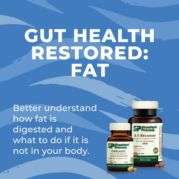 Gut Health Restored | Fat Digestion