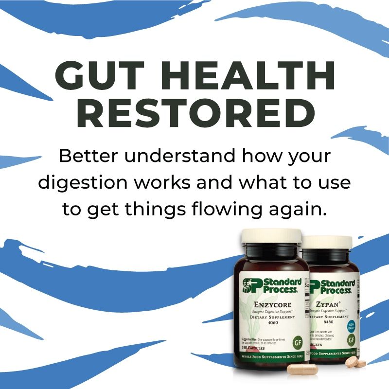 Gut Health Restored | Carbohydrate Digestion