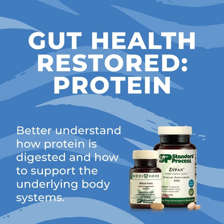 Gut Health Restored: Protein Digestion