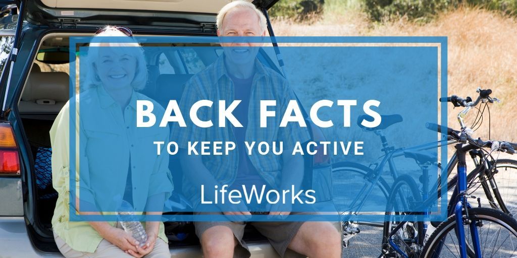 Back Pain Shawnee KS | Back facts that keep you active