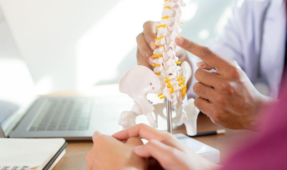 Chiropractic Care 101: What to Expect at Your First Appointment