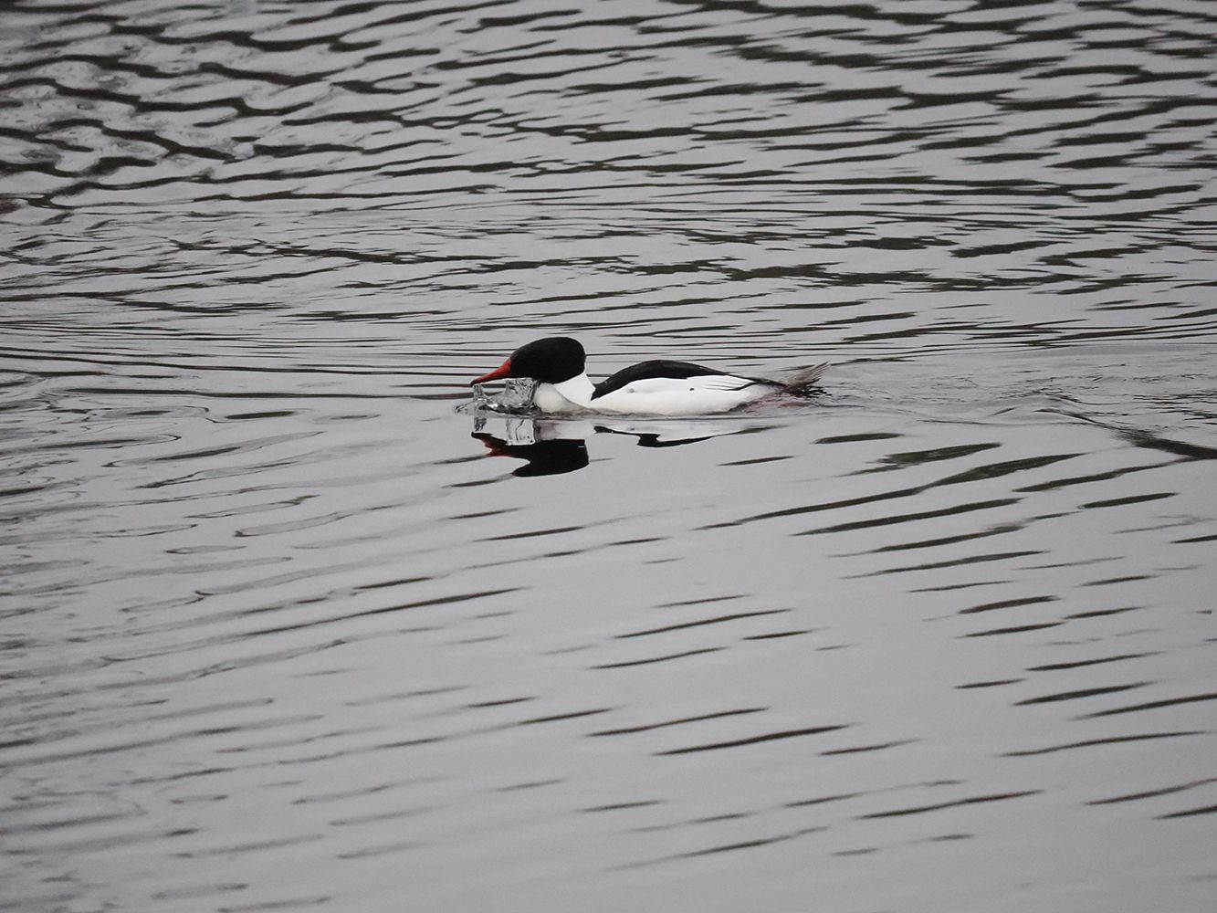 Berube Real Estate 185 Royalston Rd. Orange, MA 01364