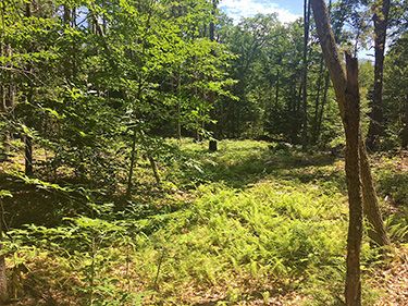 28 Colony Rd - Phillipston, MA