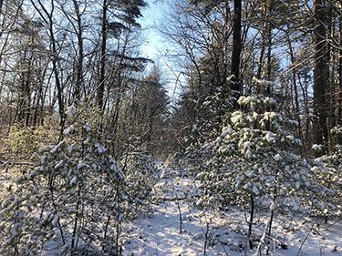 524 Czesky Rd - Hardwick, MA