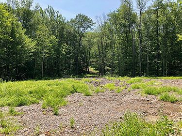 55 Blake Corner Rd - Phillipston, MA 01331