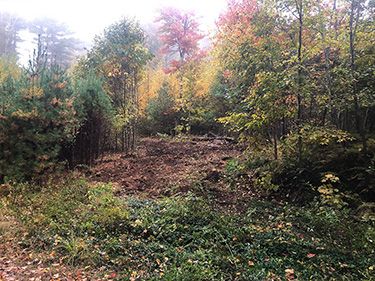 72 Woodward Rd - Petersham, MA 01366
