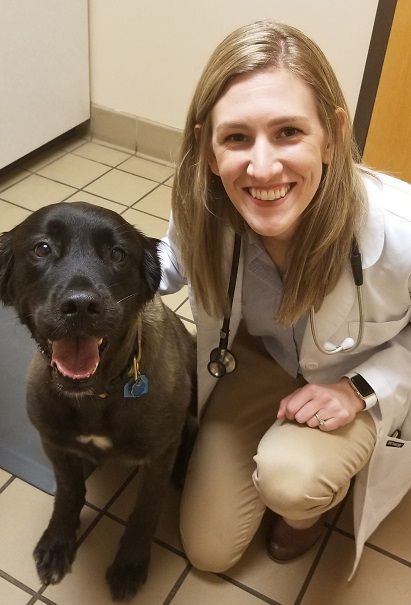 Working Dogs, Service Dogs & Guide Dogs in Nashville