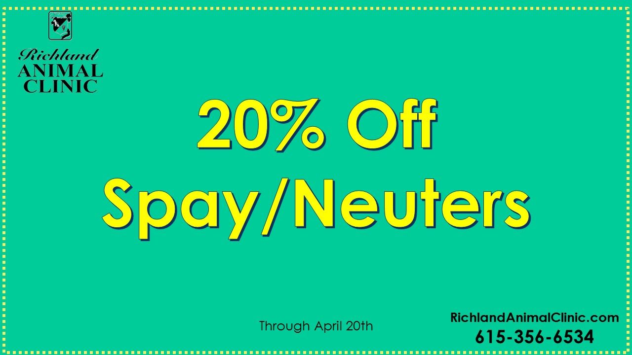 Discounted Spay/Neuter Surgeries in West Nashville