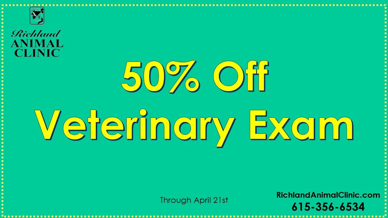Need a Veterinarian in West Nashville? 50% Off First Exam