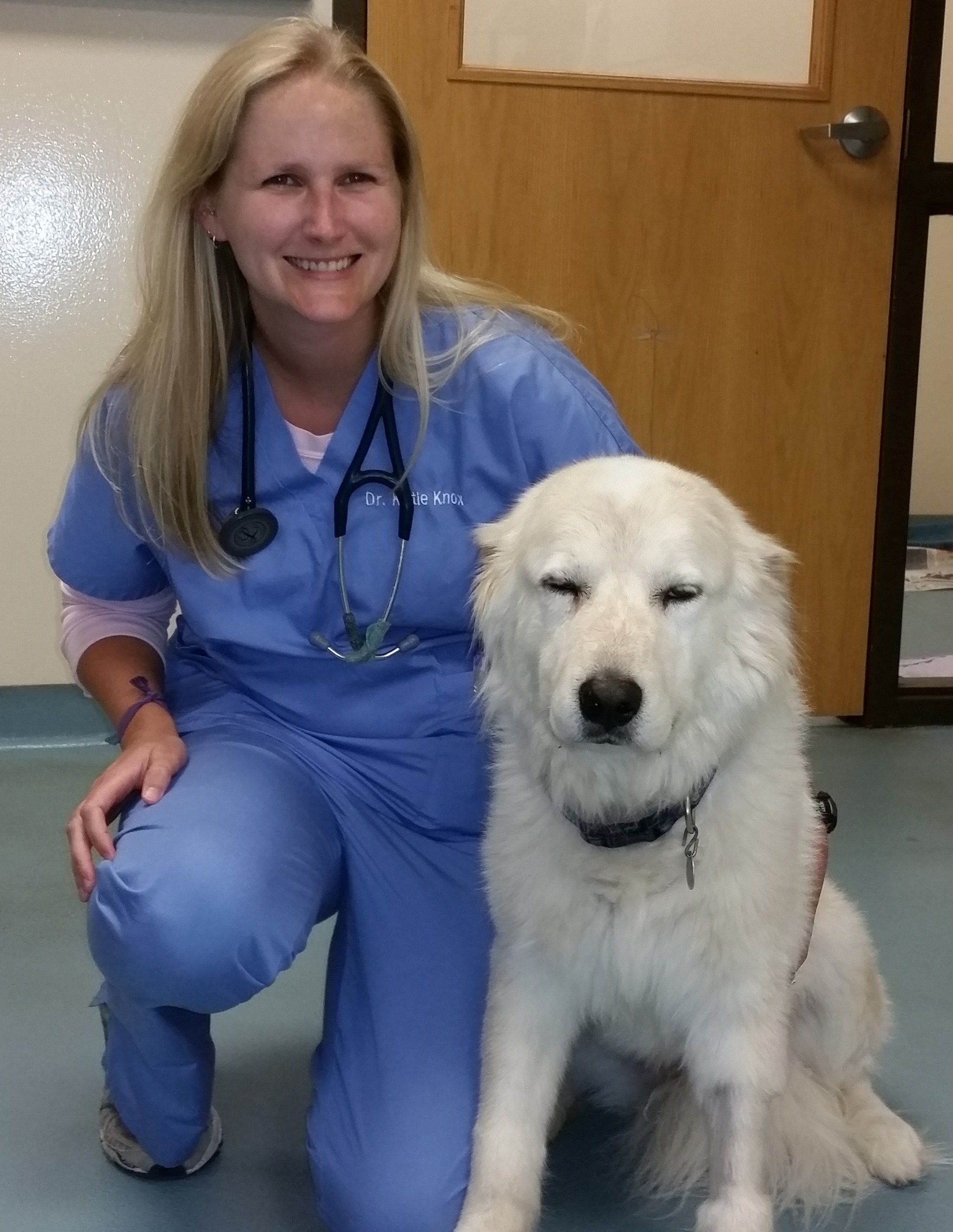 Nashville TN Vet