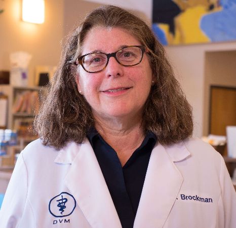 Dr. Terry Brockman