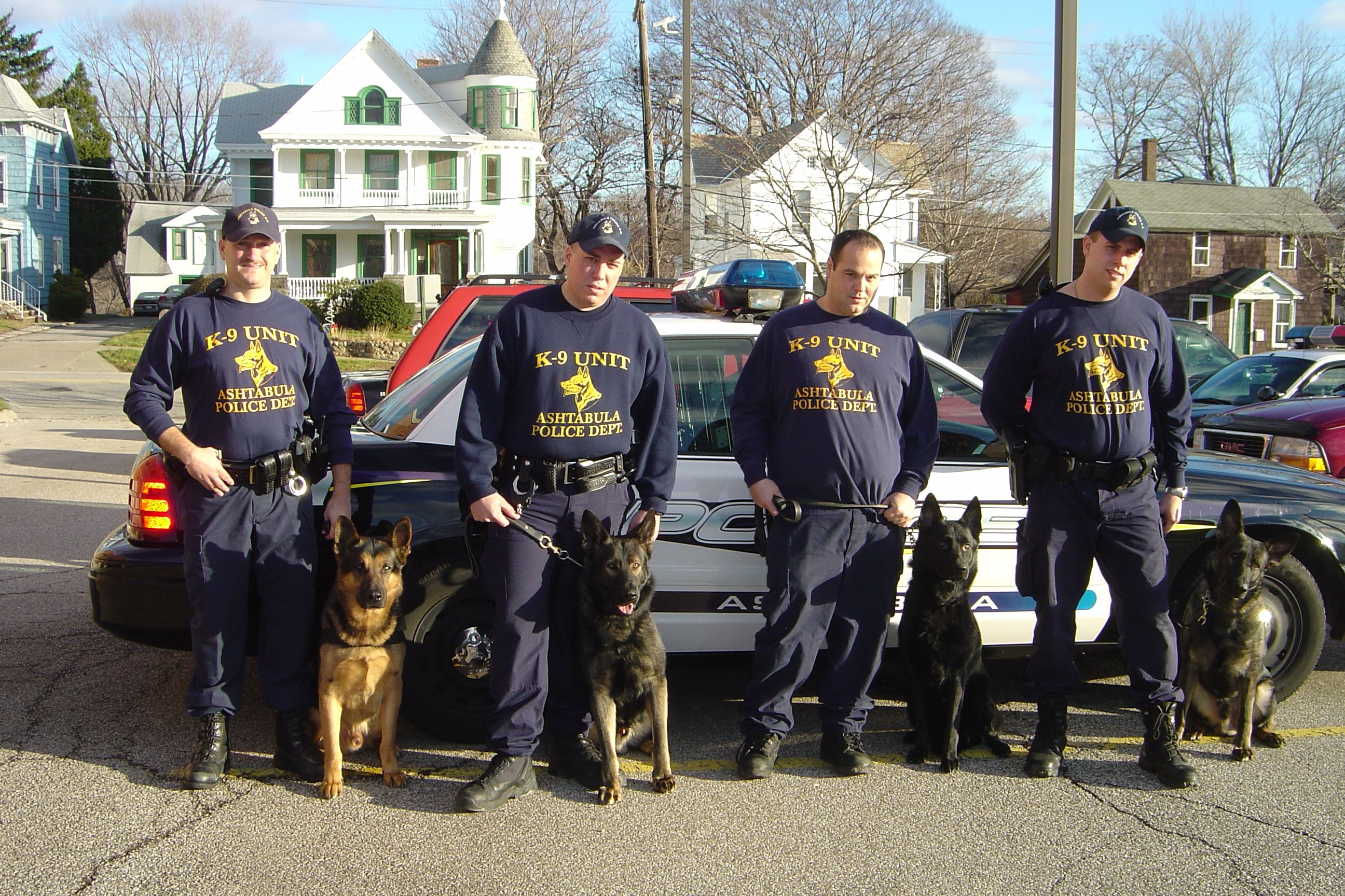 K9 Unit