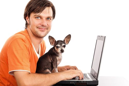 dog and human on laptop