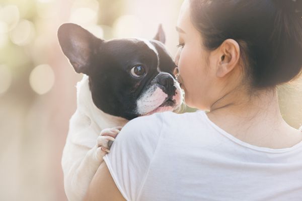 bostin terrier and owner