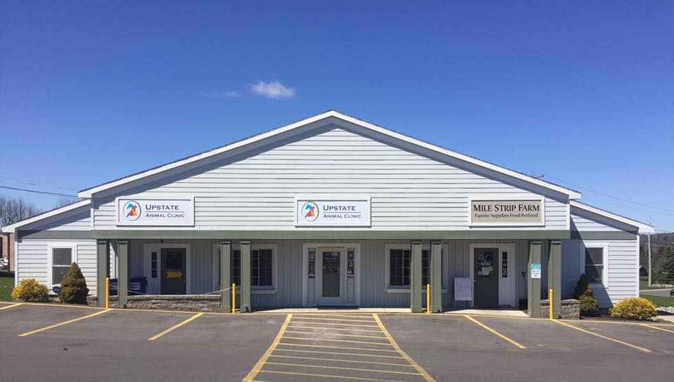 upstate animal clinic