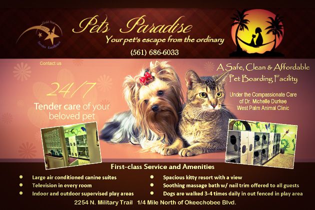 pets paradise banner