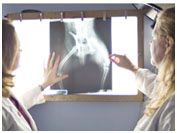 pet x-ray
