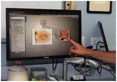 vet pointing at a monitor