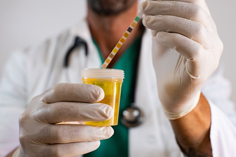 Veterinary Diagnostics in Trinidad, Claxton Bay Vet Express