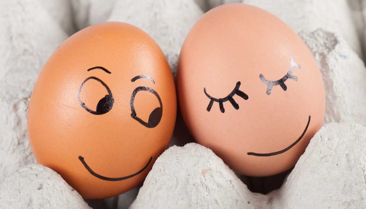 Eggs Are Eye Healthy - Bella Eye Care Optometry