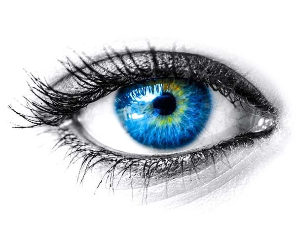Eye Trivia - Bella Eye Care Optometry