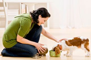 woman feeding a dog