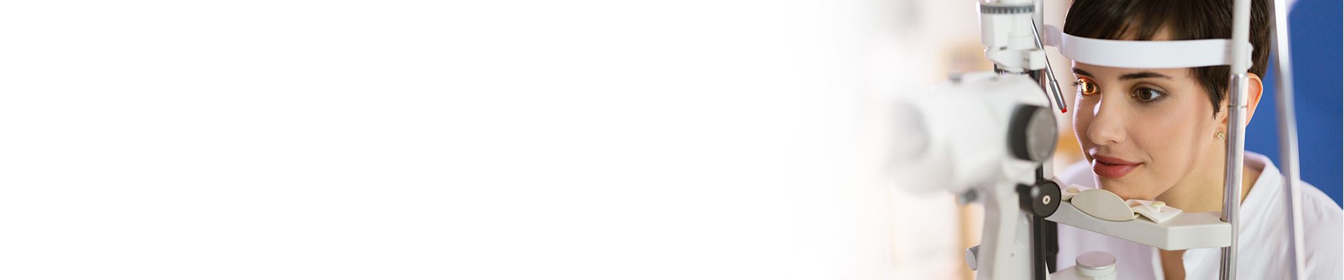 banner 3