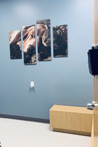 pet office