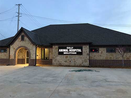 gully animal hospital near me