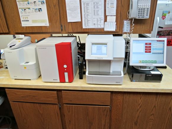bloodwork for pets