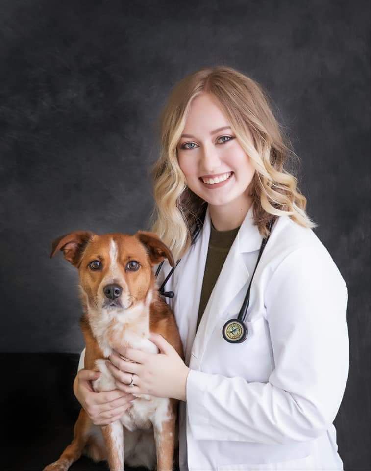 Meet The Team Lone Oak Animal Clinic, Vets in Paducah KY
