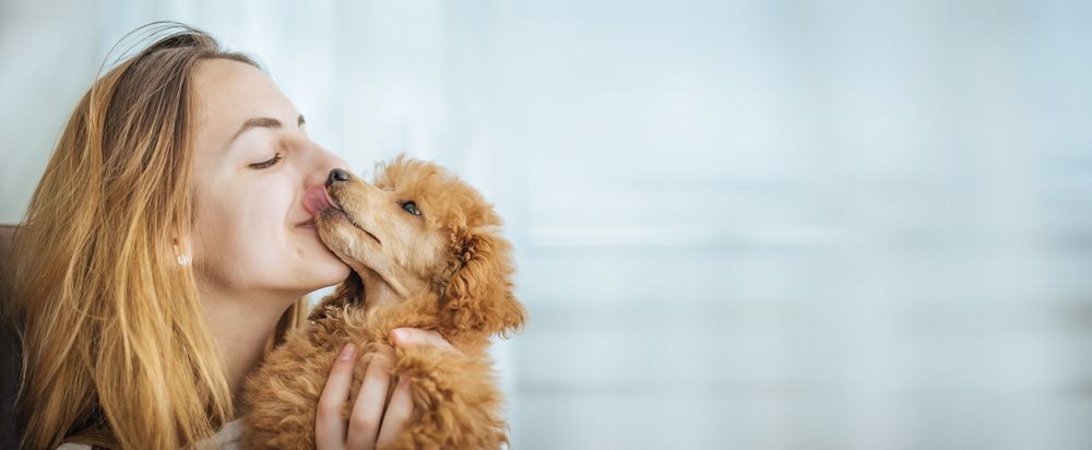 What You Need To Know About Microchipping Your Pet