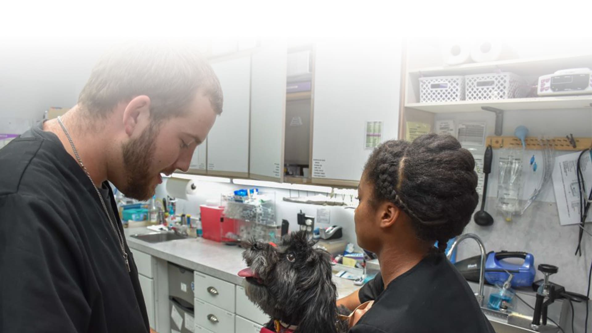 Veterinarian in Spring TX Critter Fixer Pet Hospital