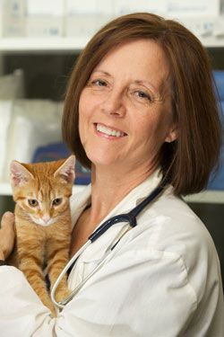 Dr. Diana Jones