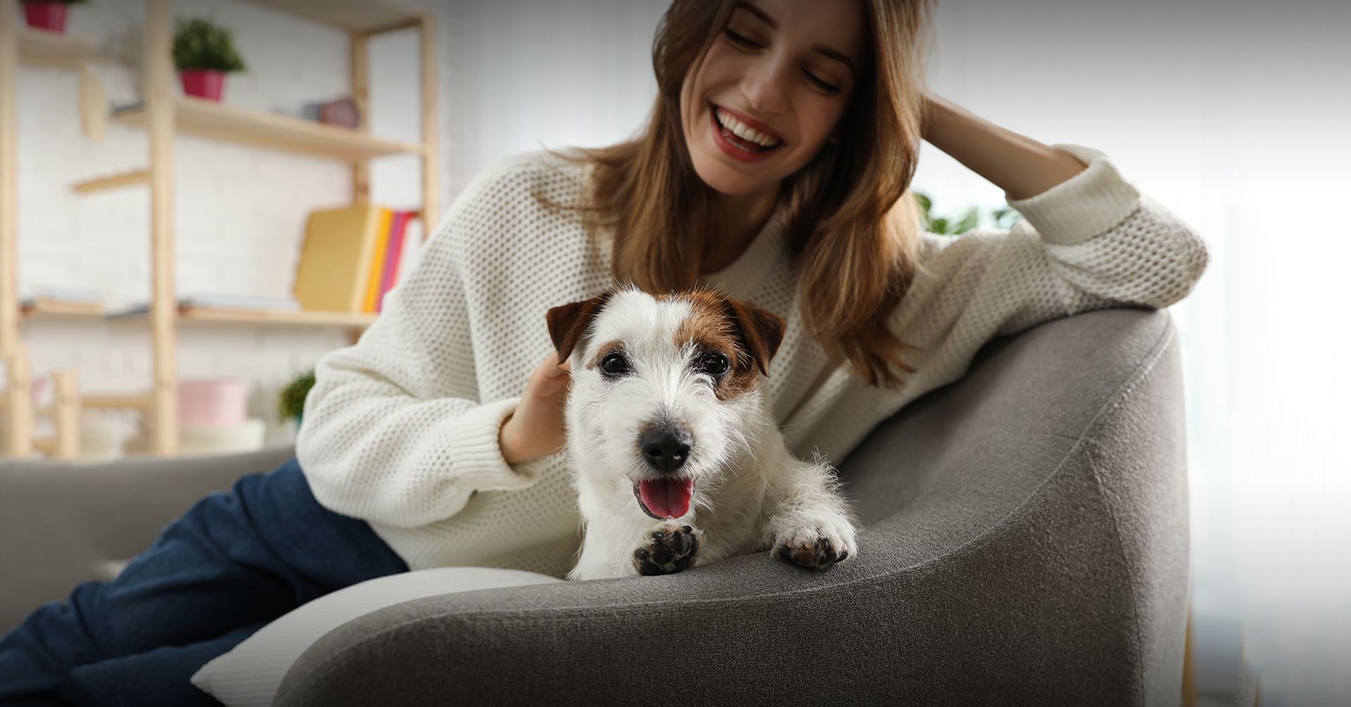 Veterinary Surgeon in Grasonville, MD Shore Pet Surgery