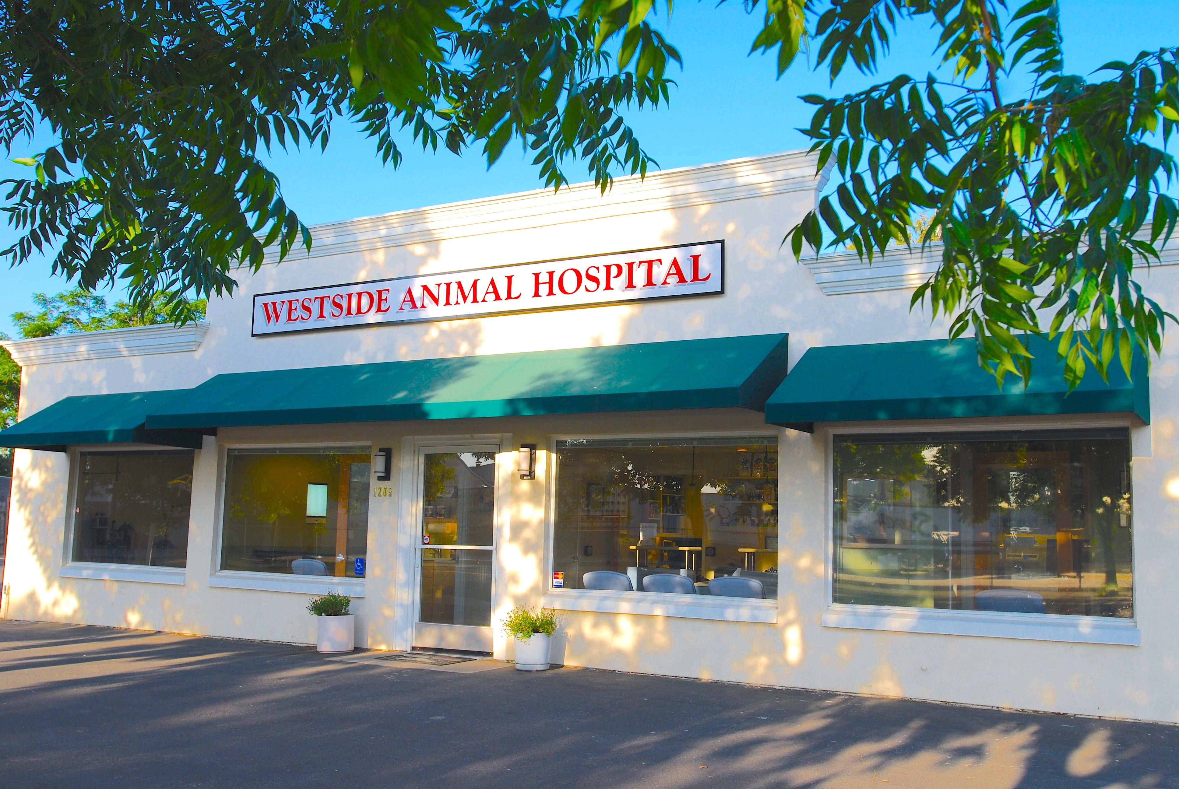 Our Clinic V2 Westside Animal Hospital - Your Trusted & Experienced Veterinary  Hospital in Newman, California