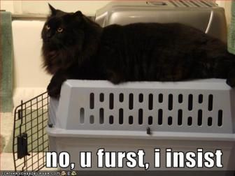 cat_carrier_funny.JPG