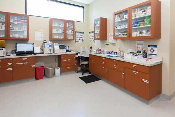 Laboratory Section
