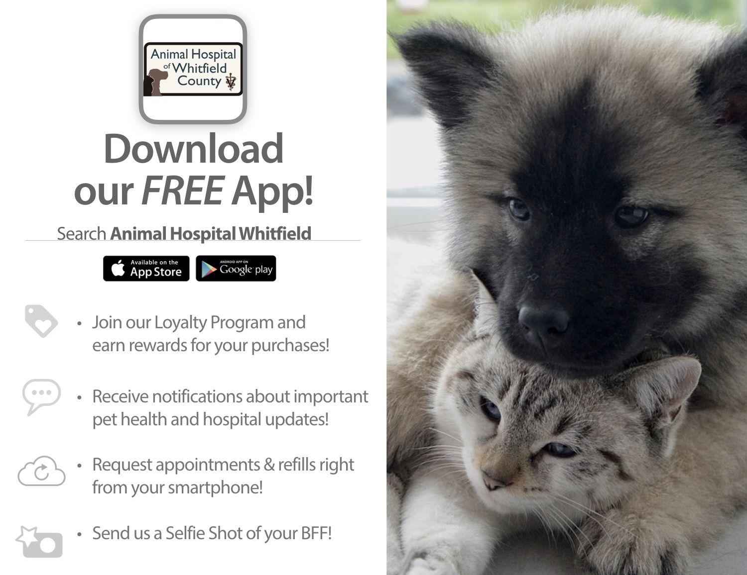 Free Loyalty App | Animal Emergency And Specialty Center